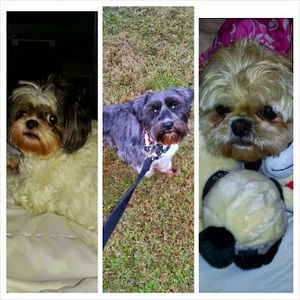 Meet your Posher, Michelle